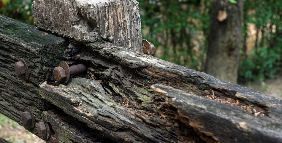 rotting wooden fence