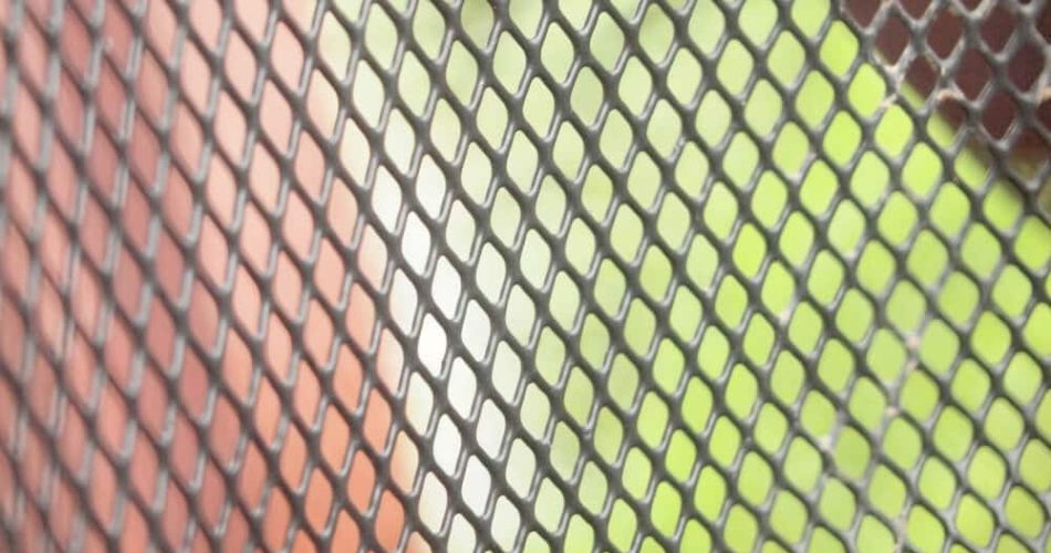 Chain Link Fence Upgrade