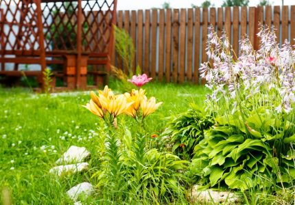 Yellow lilies and bells in a garden with a gazebo amid green grass, around a wooden fence