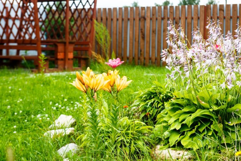 Yellow lilies and bells in a garden with a gazebo amid green grass, around a wooden fence