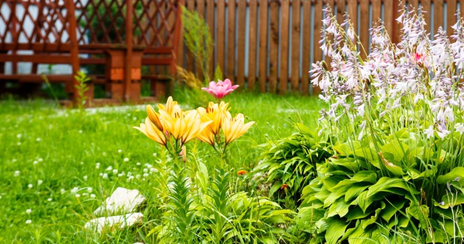 Yellow lilies and bells in a garden with a gazebo amid green grass, around a wooden fence