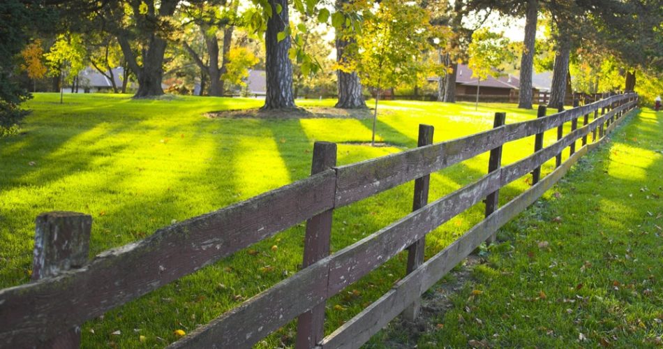 View of the trail with wooden fence - Big Easy Fences
