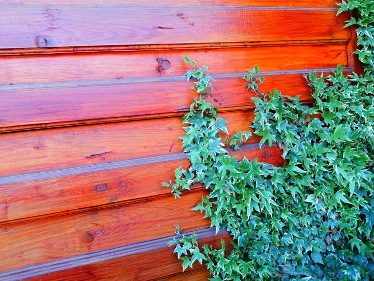 Redwood Fence