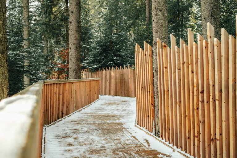 Eco wooden alley in winter forest. Beautiful bridge in snowy scenery, nobody. High quality photo