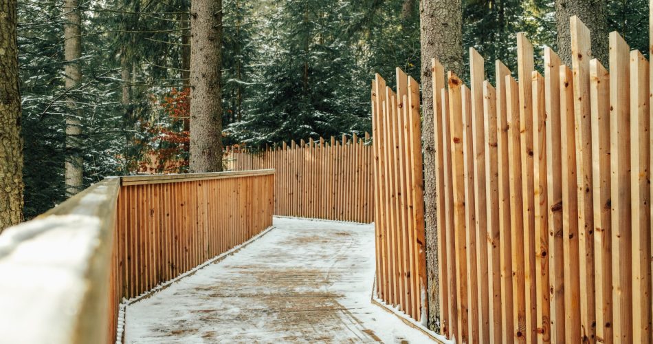 Eco wooden alley in winter forest. Beautiful bridge in snowy scenery, nobody. High quality photo
