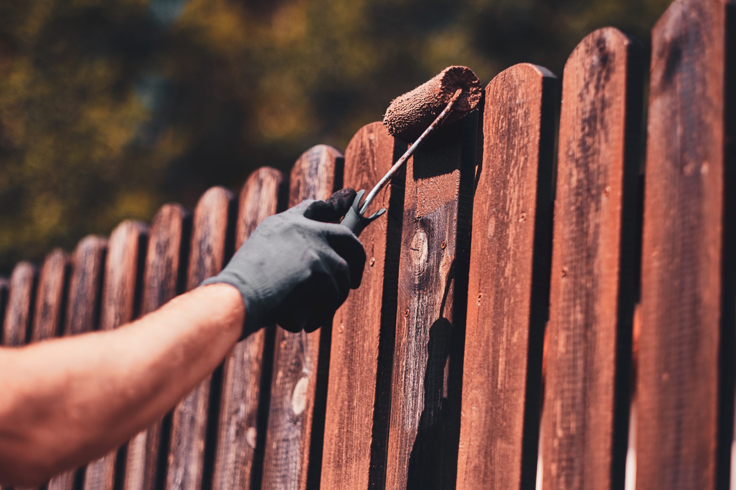 Man in protective gloves is painting wooden fence in bright summer day.